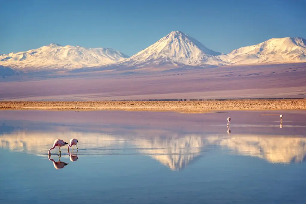 Atacama_desert